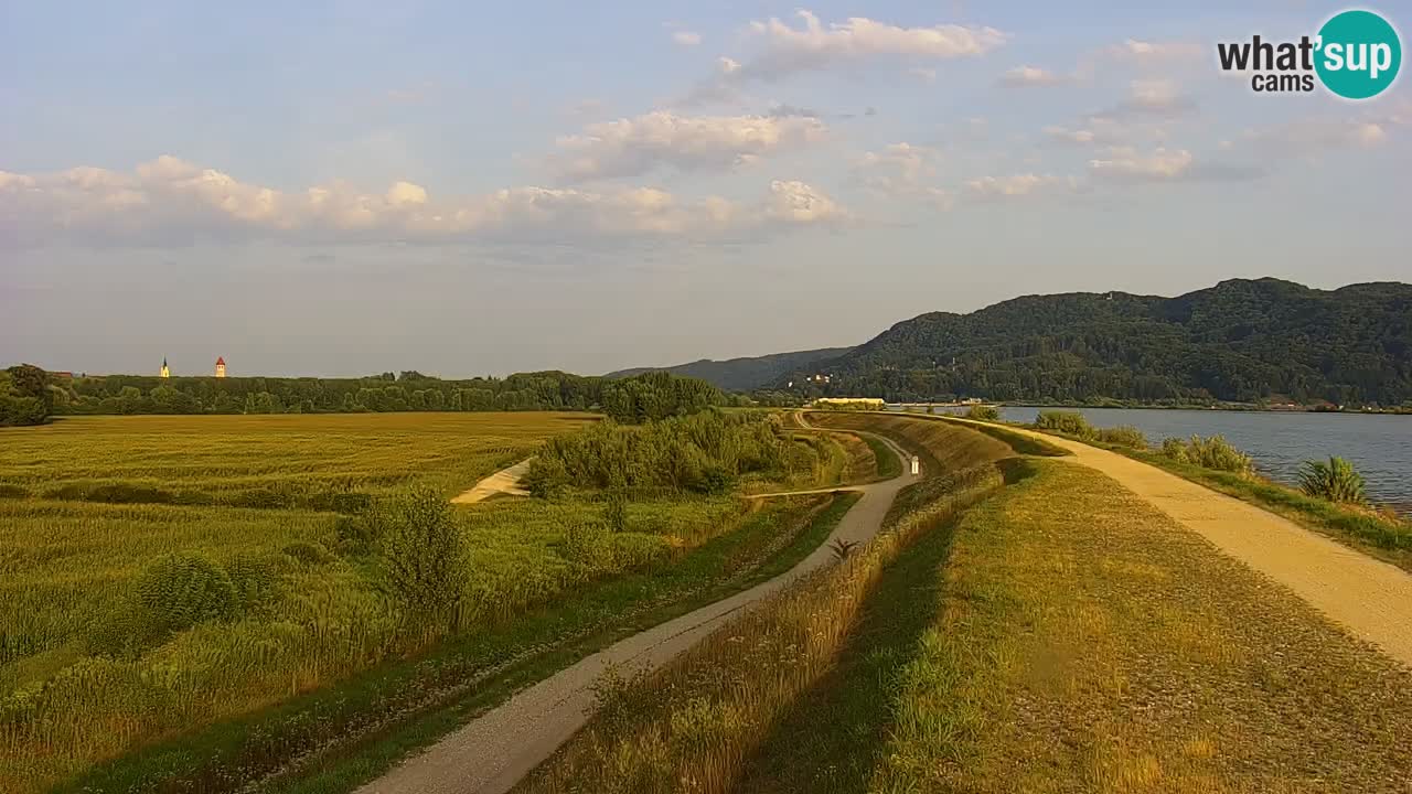 Web kamera uživo Jezero Brežice na rijeci Savi – Slovenija