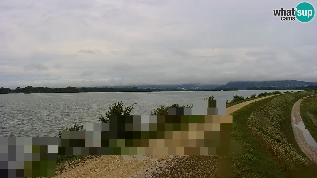 Live Webcam Lago di Brežice sul fiume Sava – Slovenia