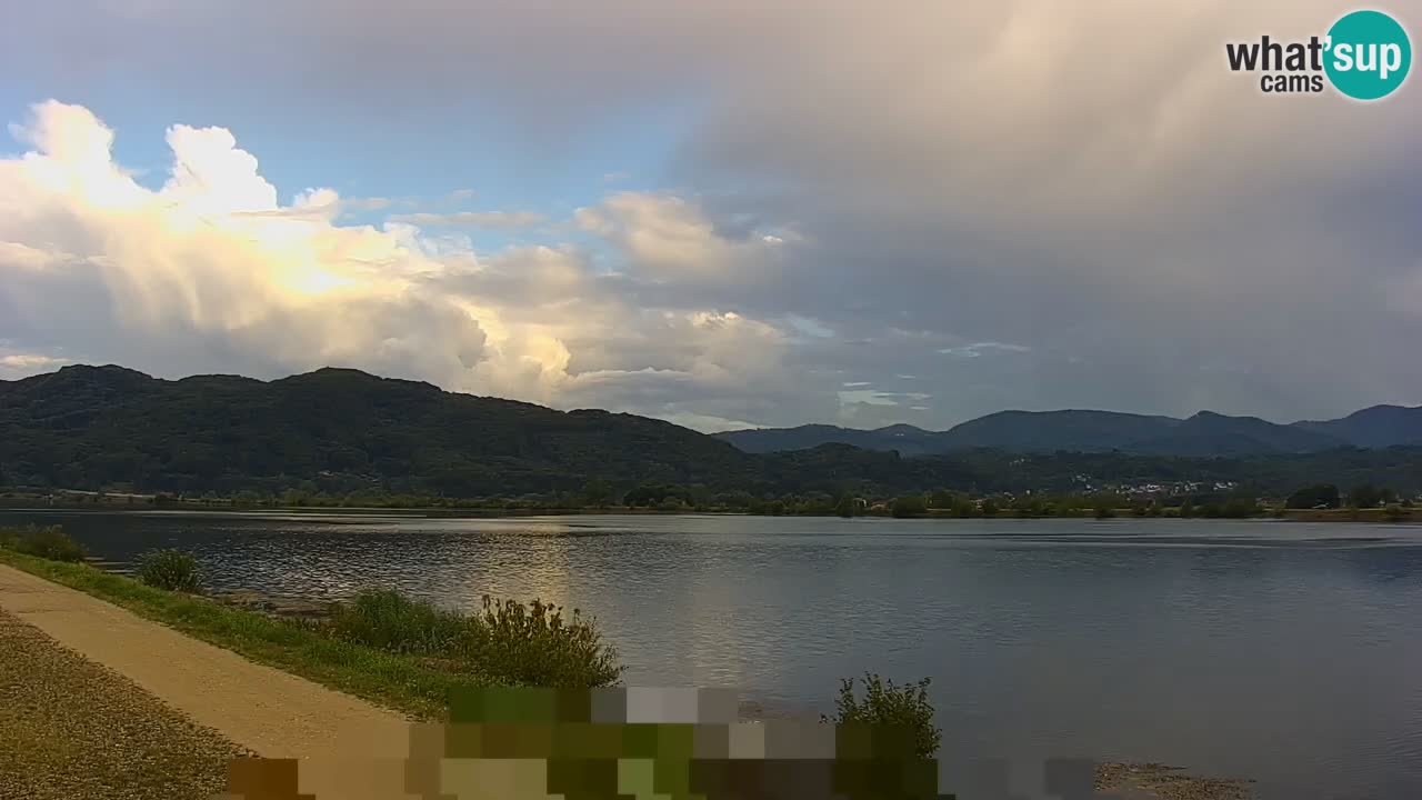 Live Webcam Brežice lake on Sava river – Slovenia