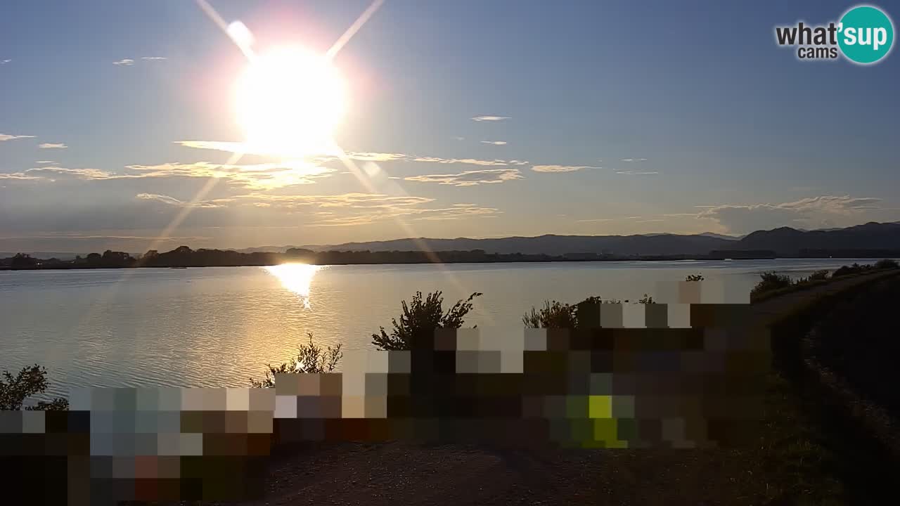 Live Webcam Brežice lake on Sava river – Slovenia