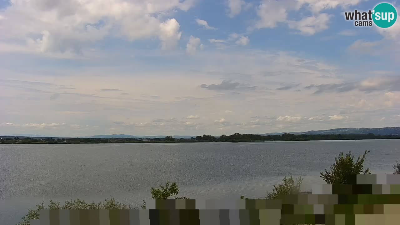 Web kamera uživo Jezero Brežice na rijeci Savi – Slovenija
