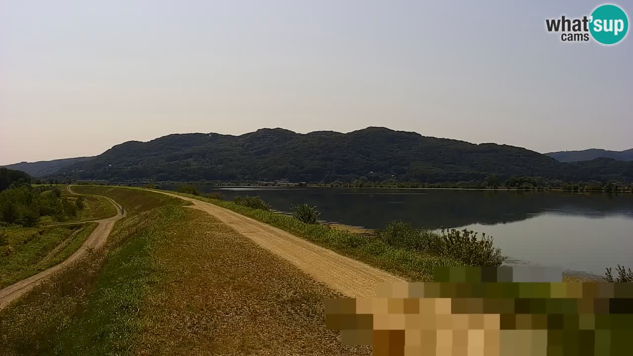 Live Webcam Brežice lake on Sava river – Slovenia