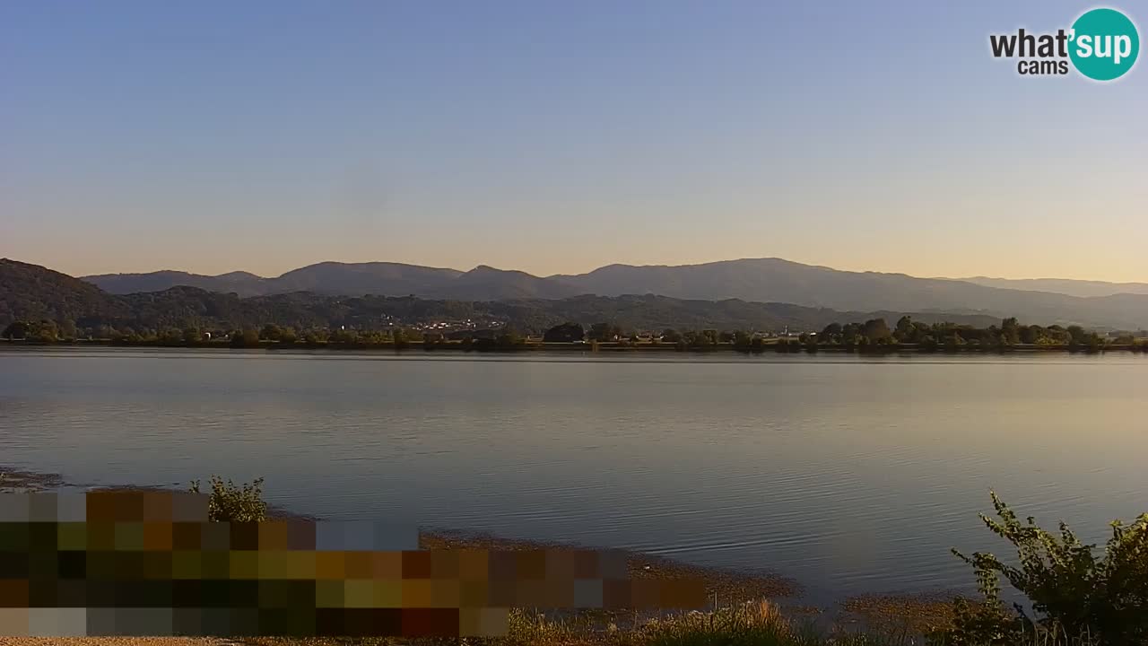 Live Webcam Brežice lake on Sava river – Slovenia