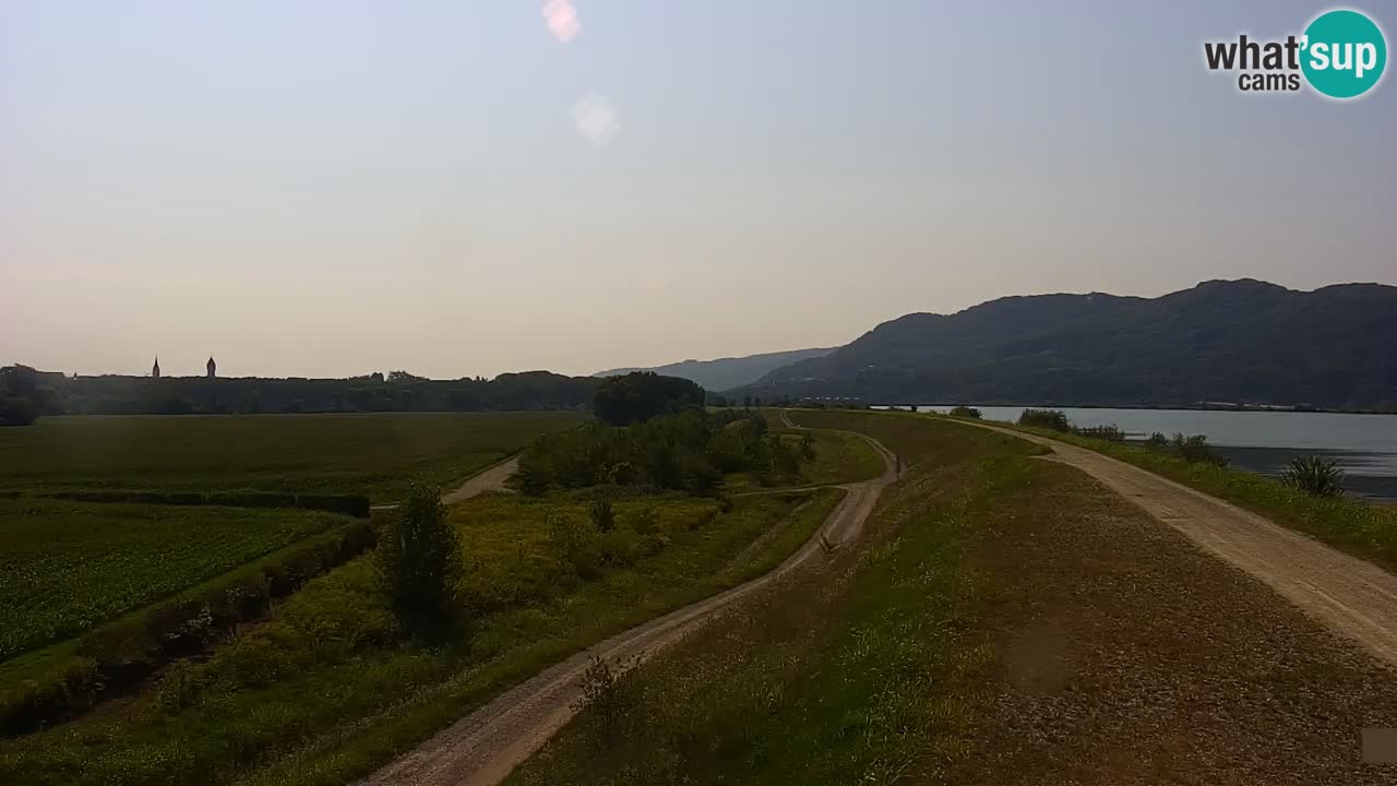 Spletna kamera v živo Brežiško jezero na reki Savi – Slovenija
