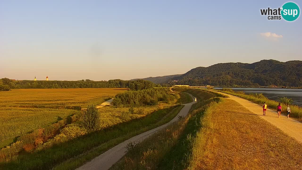 Live Webcam Brežice See am Fluss Sava – Slowenien
