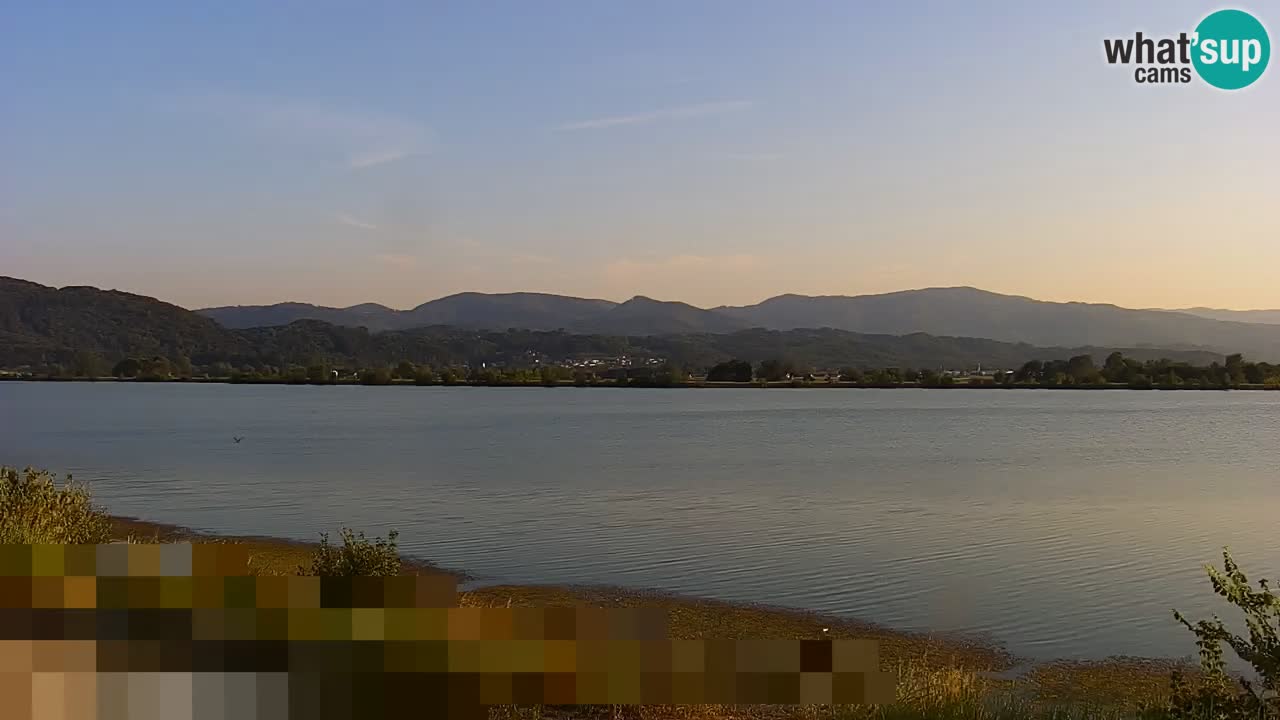 Live Webcam Brežice lake on Sava river – Slovenia