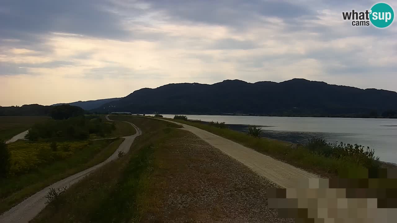 Live Webcam Brežice See am Fluss Sava – Slowenien