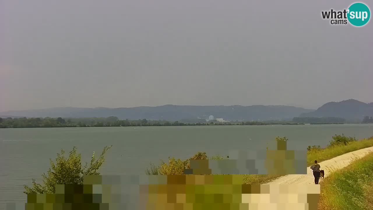 Spletna kamera v živo Brežiško jezero na reki Savi – Slovenija