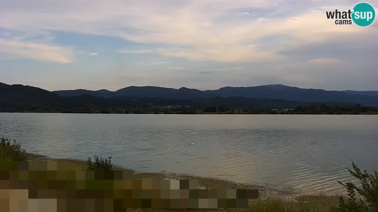 Live Webcam Lago di Brežice sul fiume Sava – Slovenia