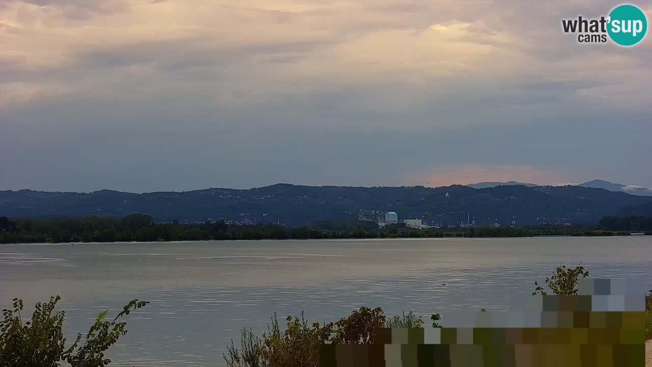 Spletna kamera v živo Brežiško jezero na reki Savi – Slovenija