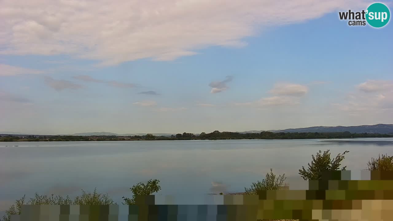 Live Webcam Lago di Brežice sul fiume Sava – Slovenia
