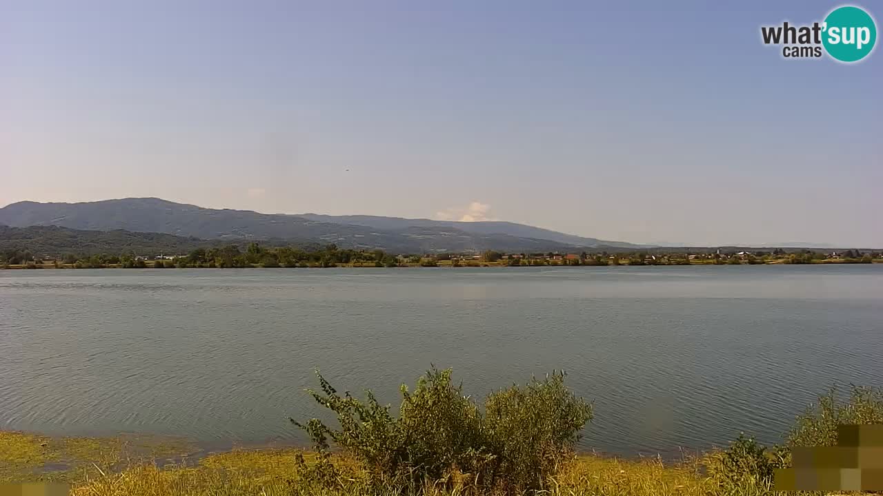 Live Webcam Brežice lake on Sava river – Slovenia