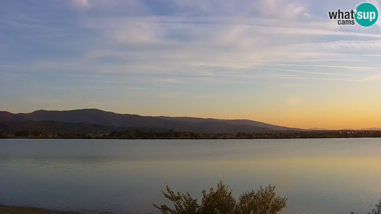 Live Webcam Brežice lake on Sava river – Slovenia