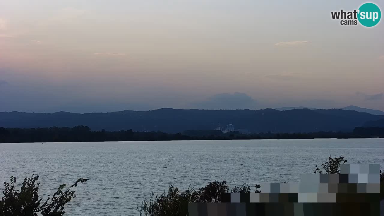 Webcam en direct Lac Brežice sur la rivière Sava – Slovénie
