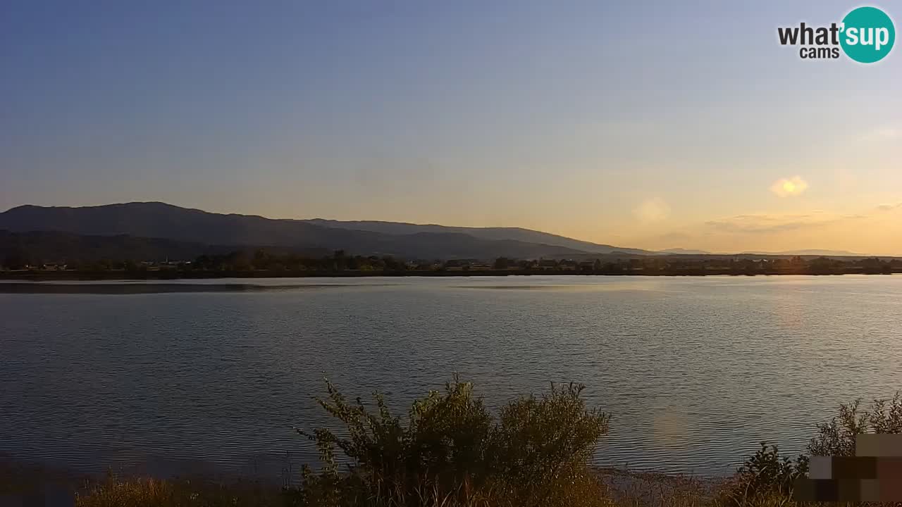 Live Webcam Lago di Brežice sul fiume Sava – Slovenia