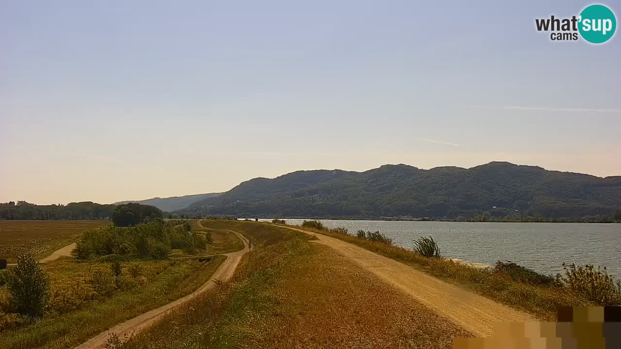 Webcam en direct Lac Brežice sur la rivière Sava – Slovénie