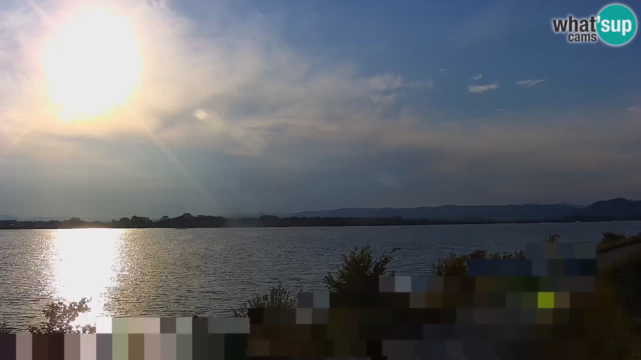Webcam en direct Lac Brežice sur la rivière Sava – Slovénie