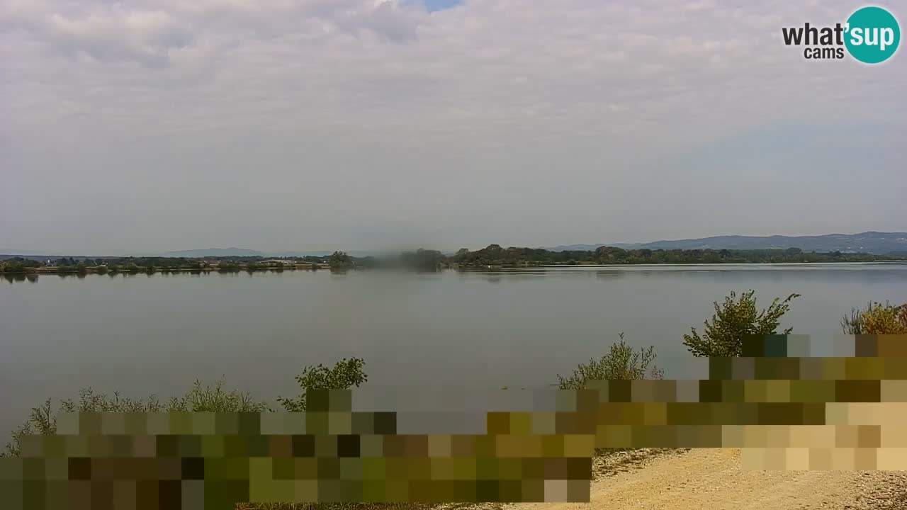 Webcam en vivo lago Brežice en el río Sava – Eslovenia