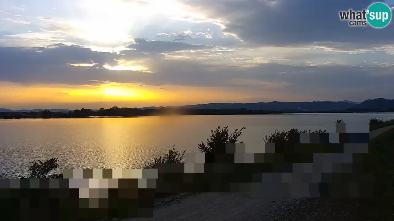 Live Webcam Brežice lake on Sava river – Slovenia