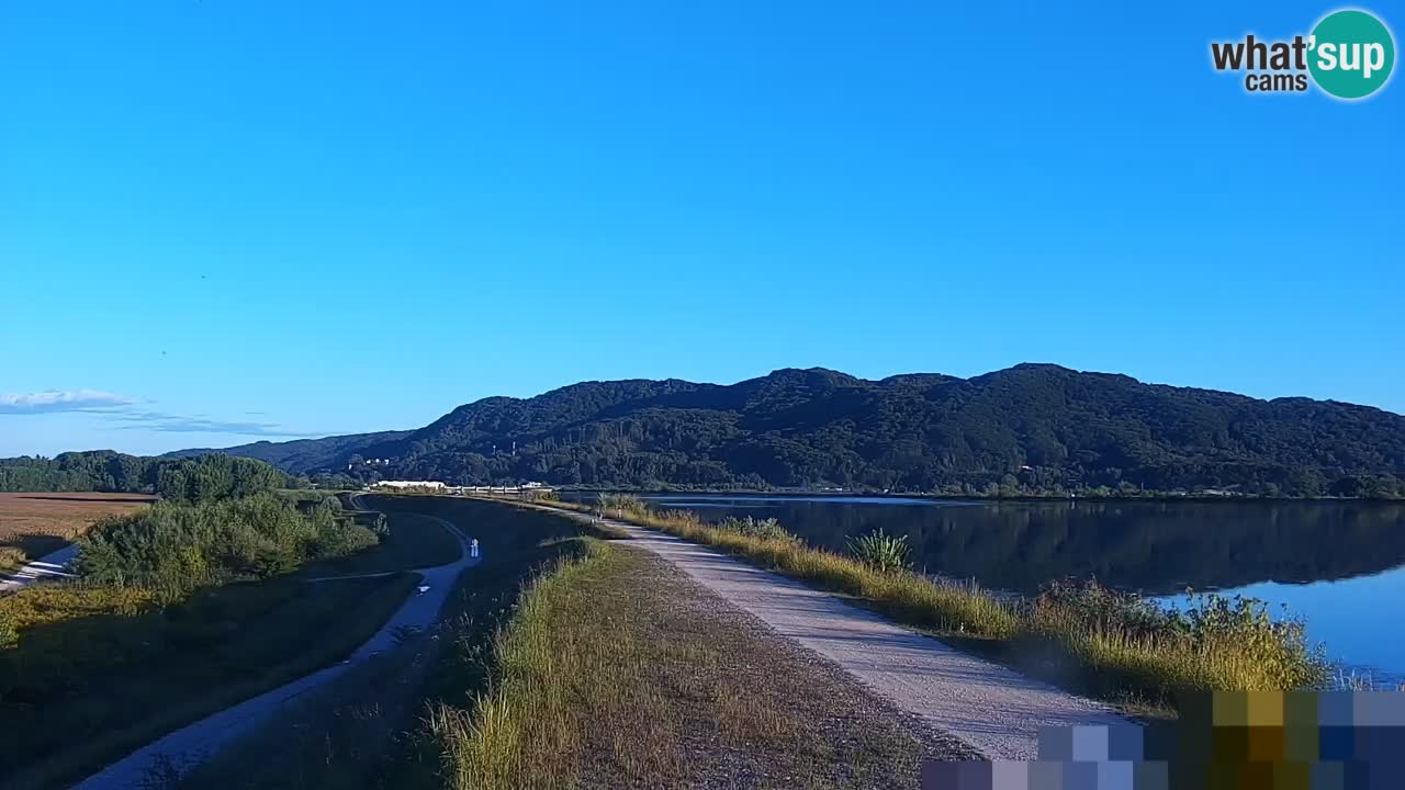 Spletna kamera v živo Brežiško jezero na reki Savi – Slovenija