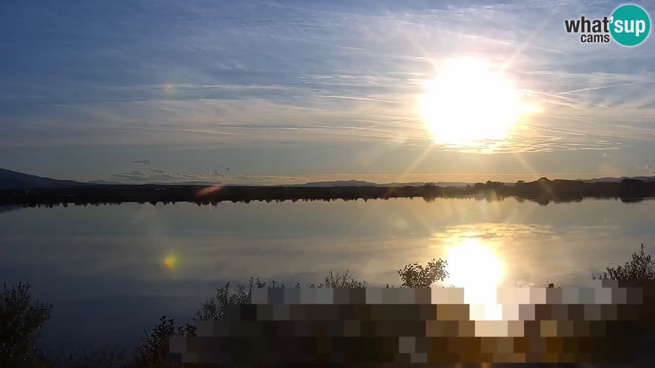 Webcam en direct Lac Brežice sur la rivière Sava – Slovénie