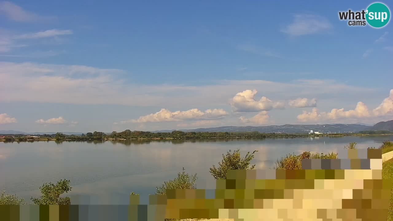 Spletna kamera v živo Brežiško jezero na reki Savi – Slovenija