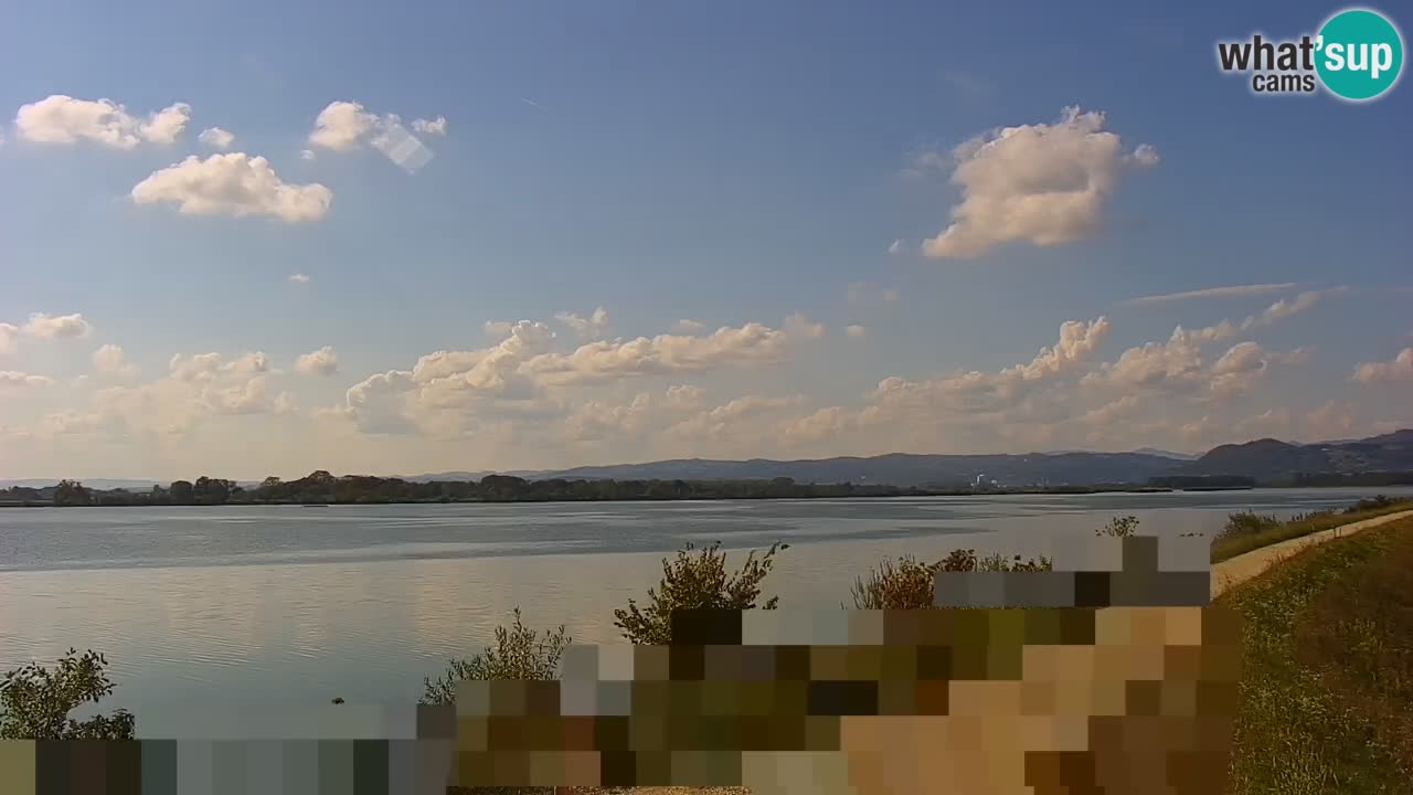 Live Webcam Lago di Brežice sul fiume Sava – Slovenia