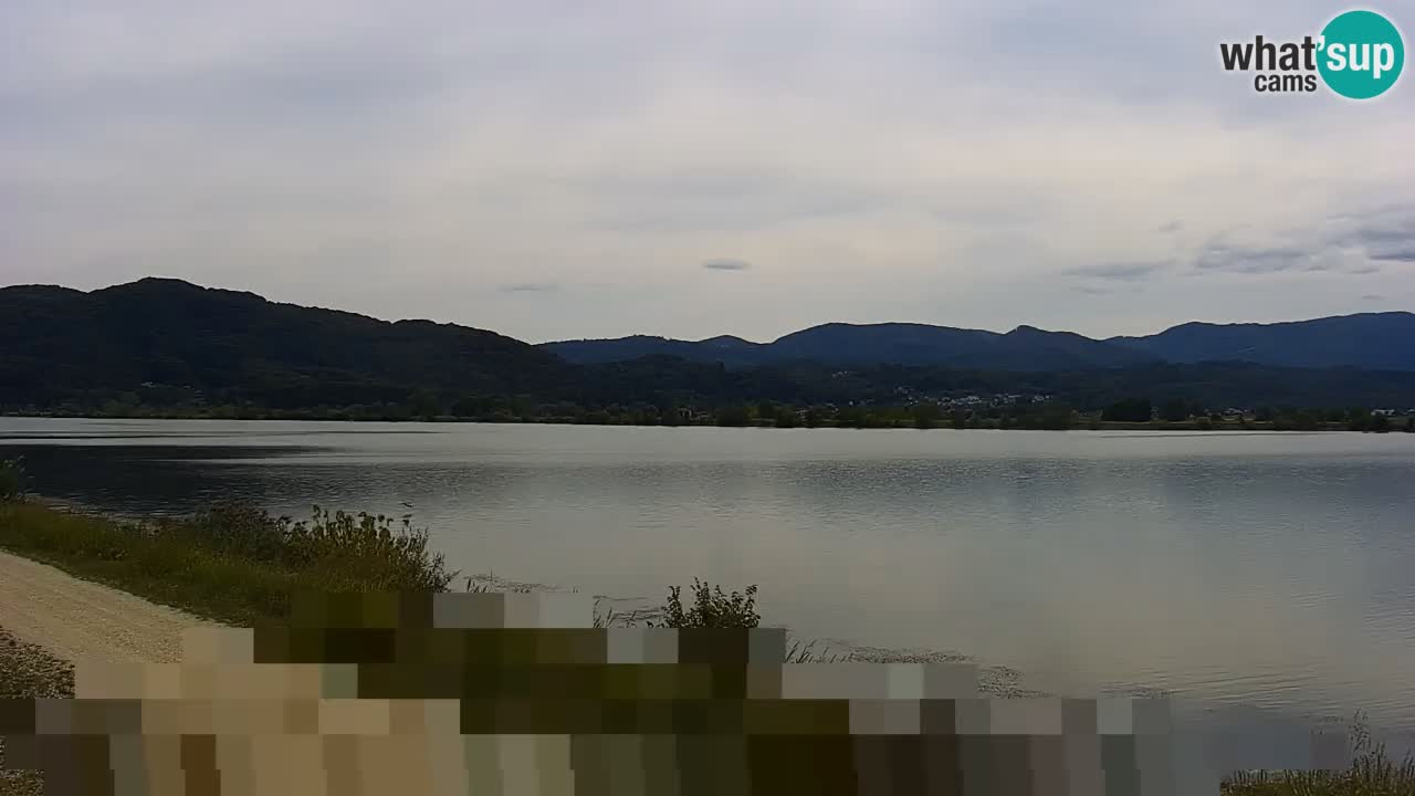 Live Webcam Brežice lake on Sava river – Slovenia