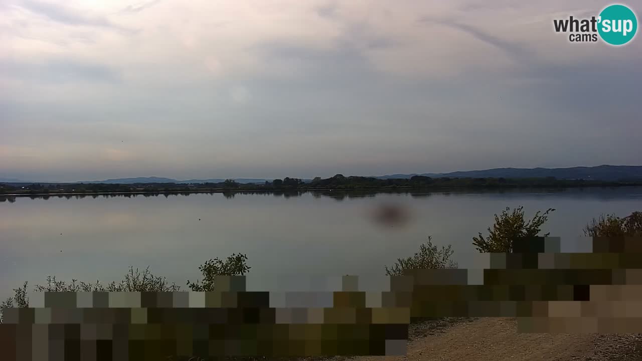 Spletna kamera v živo Brežiško jezero na reki Savi – Slovenija