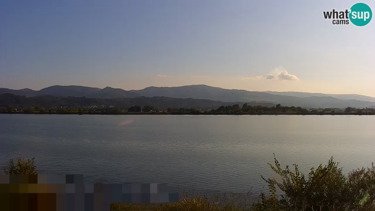 Live Webcam Brežice See am Fluss Sava – Slowenien