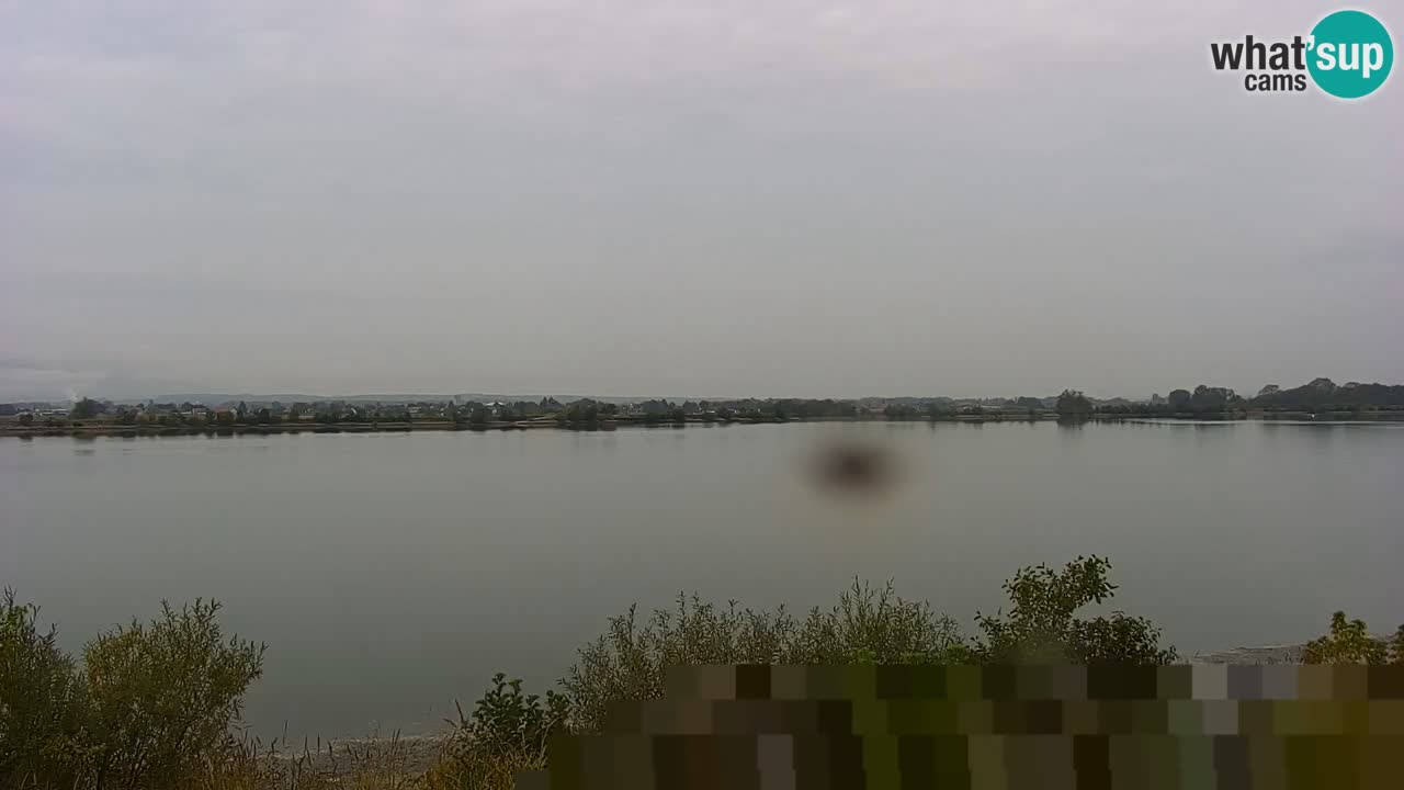 Spletna kamera v živo Brežiško jezero na reki Savi – Slovenija