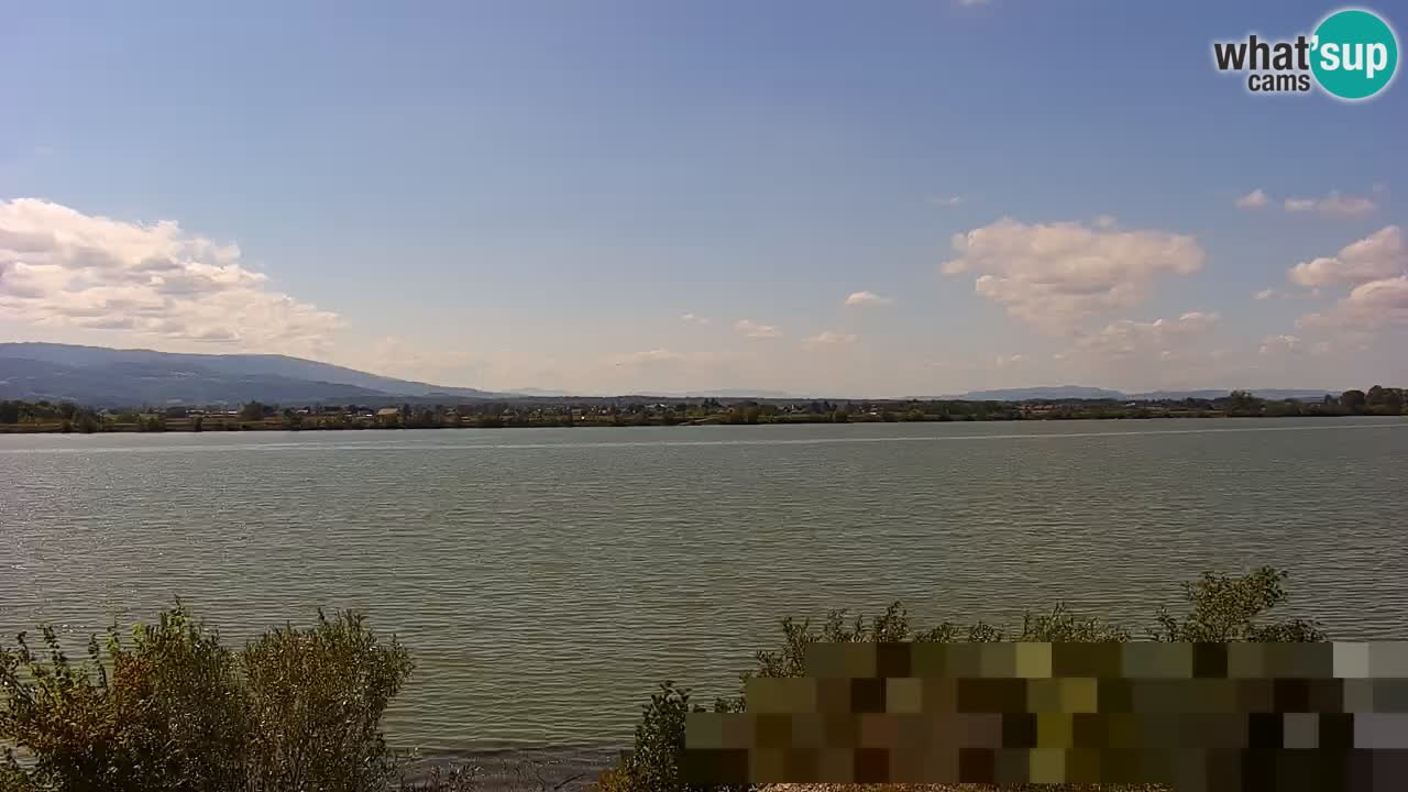 Web kamera uživo Jezero Brežice na rijeci Savi – Slovenija
