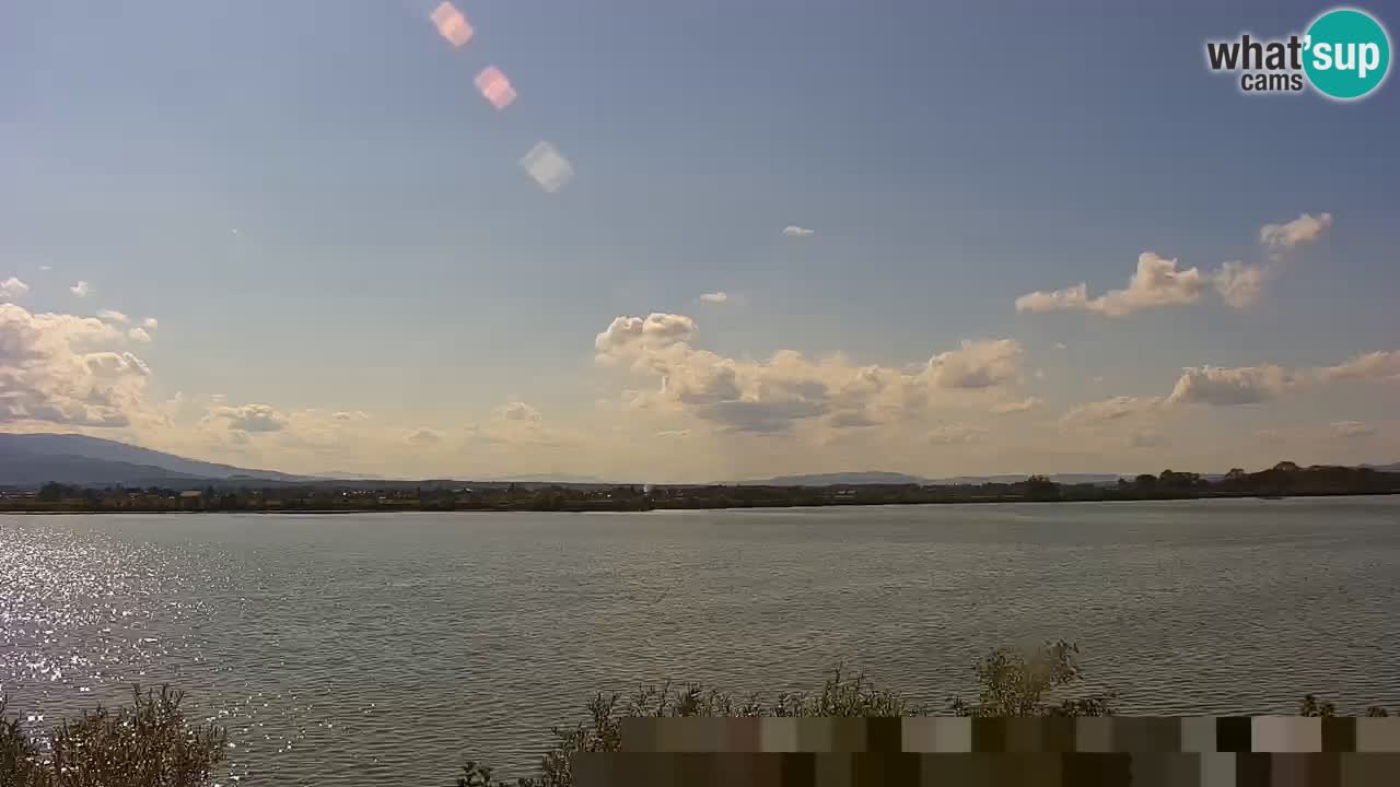 Live Webcam Brežice lake on Sava river – Slovenia