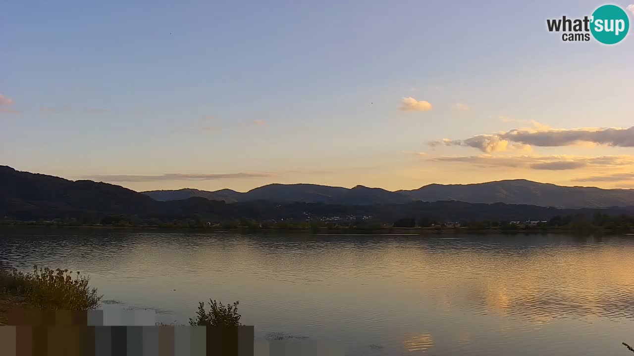 Live Webcam Brežice lake on Sava river – Slovenia
