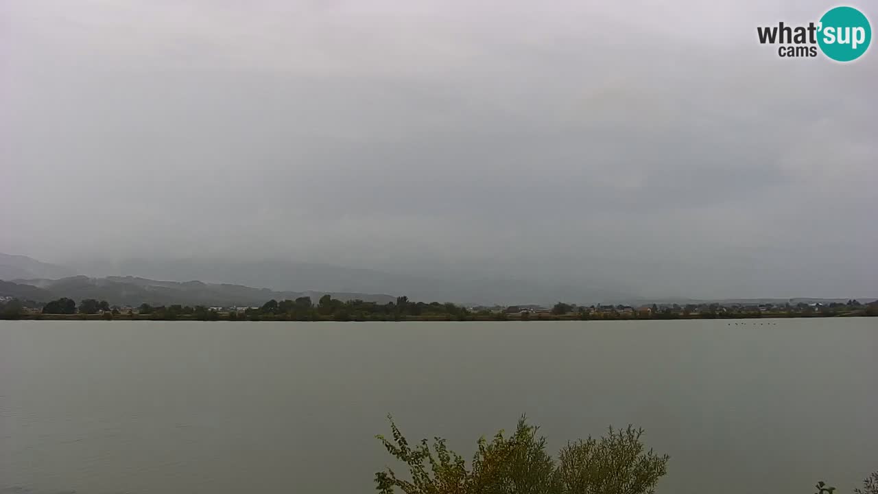 Webcam en vivo lago Brežice en el río Sava – Eslovenia