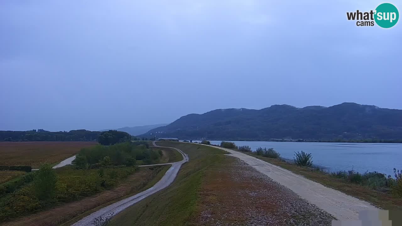 Spletna kamera v živo Brežiško jezero na reki Savi – Slovenija