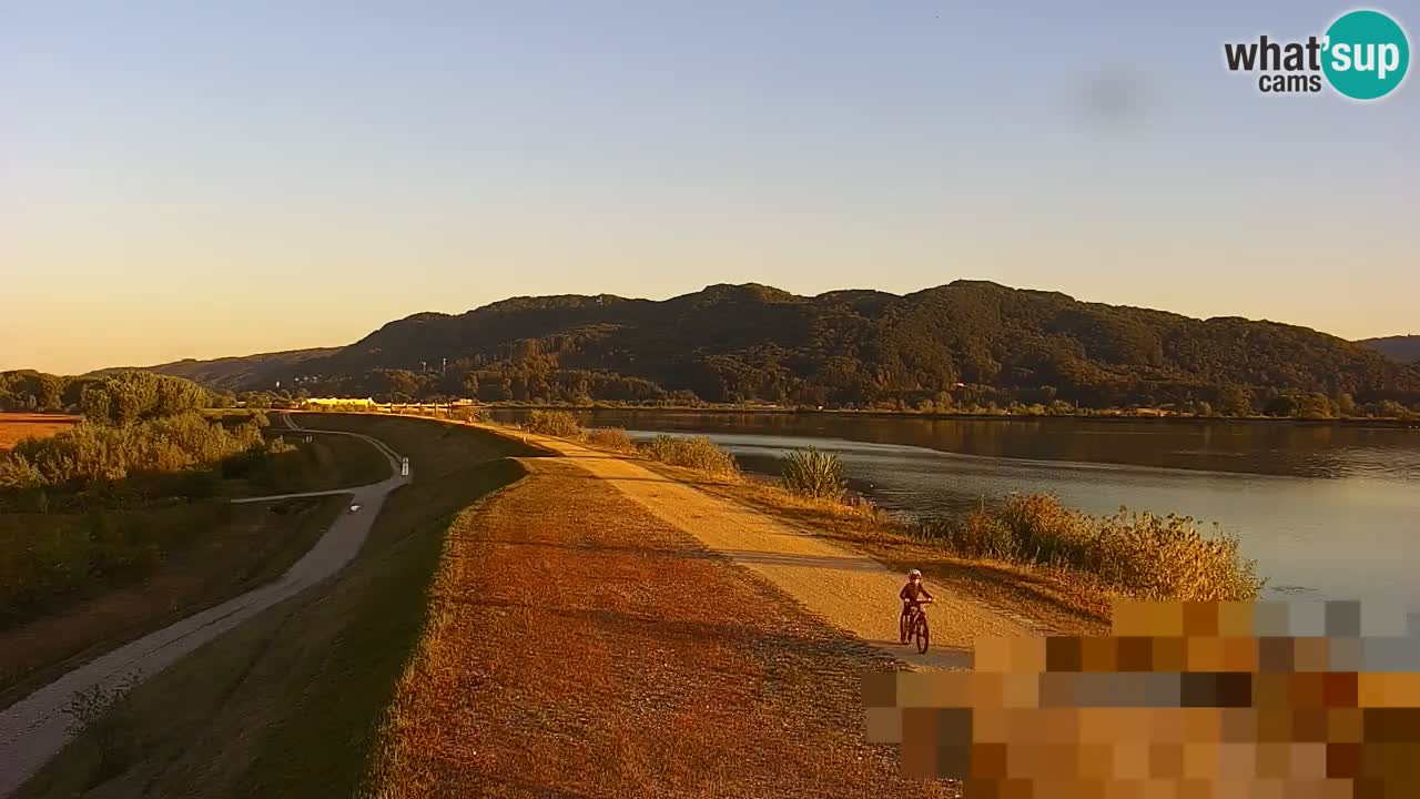 Webcam en vivo lago Brežice en el río Sava – Eslovenia