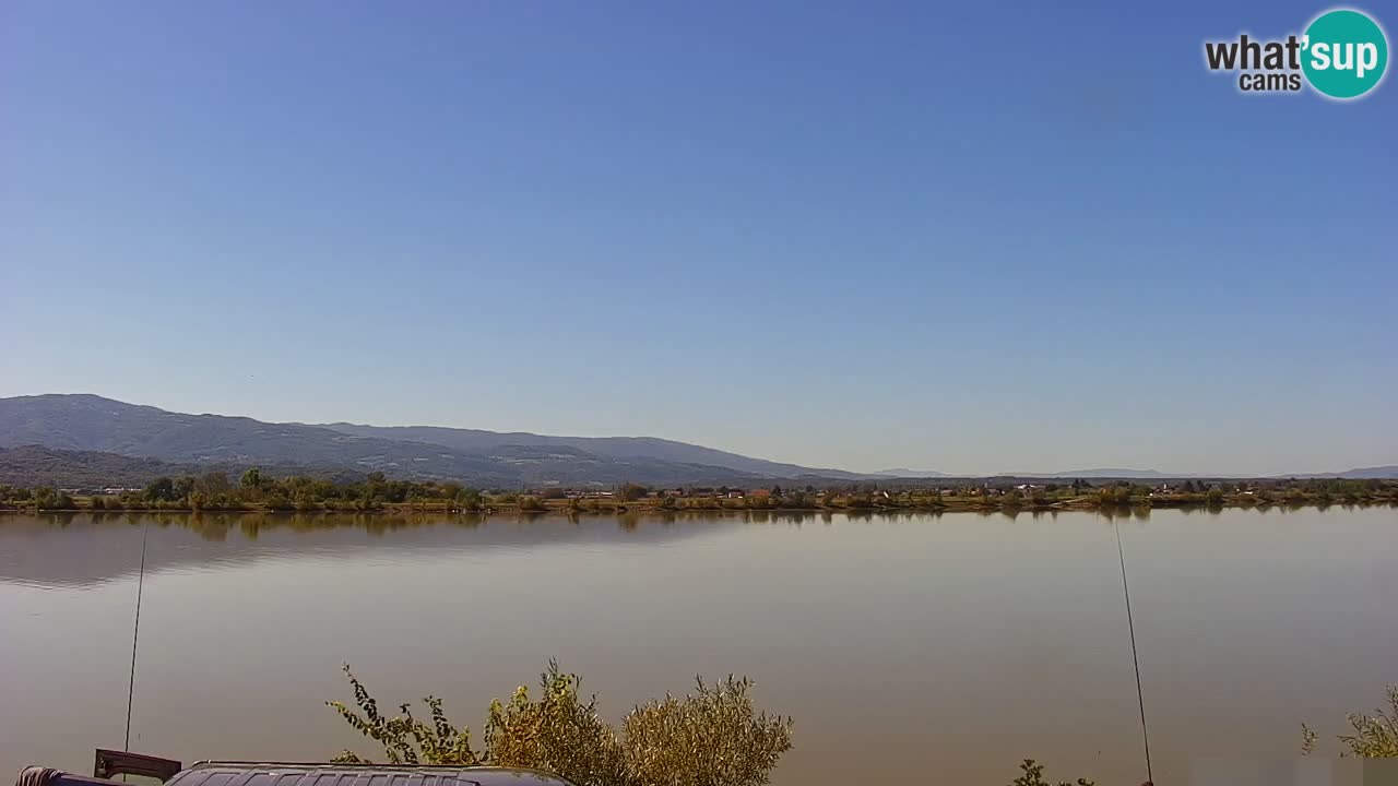 Webcam en direct Lac Brežice sur la rivière Sava – Slovénie