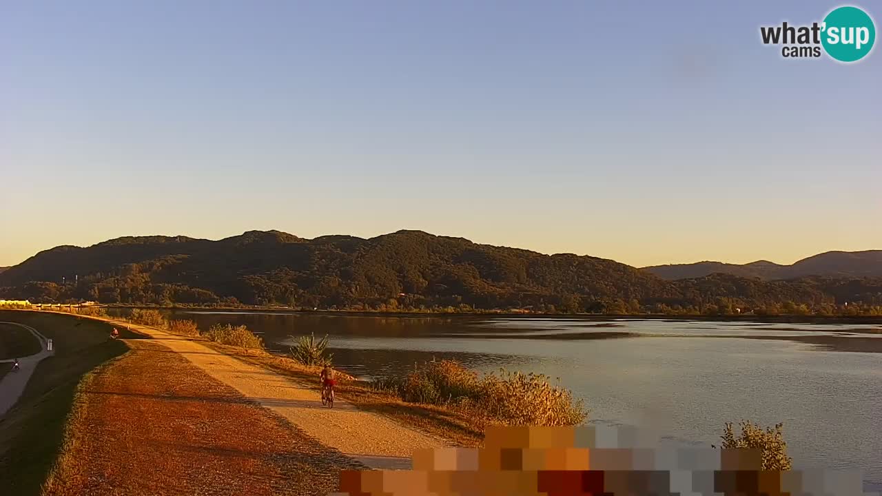 Webcam en direct Lac Brežice sur la rivière Sava – Slovénie