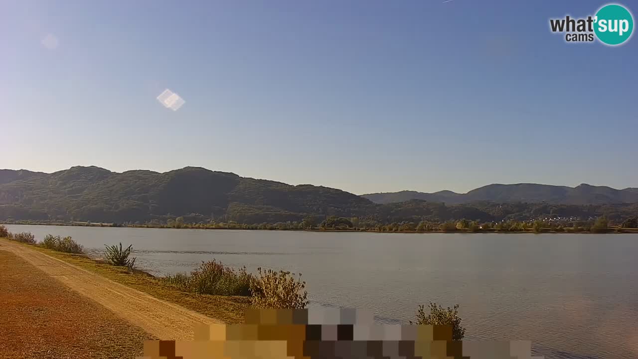 Webcam en vivo lago Brežice en el río Sava – Eslovenia