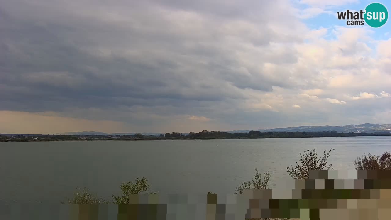 Live Webcam Brežice lake on Sava river – Slovenia