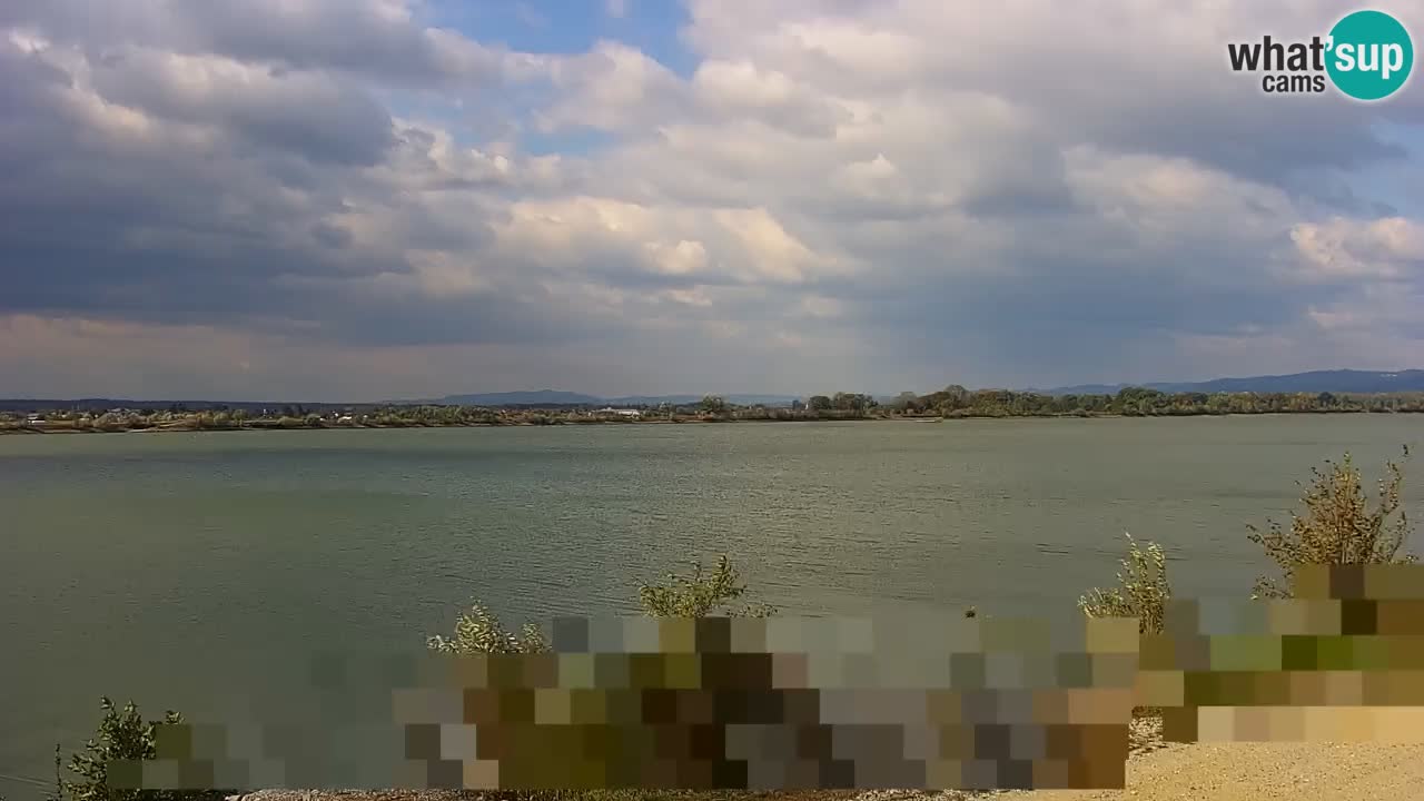 Spletna kamera v živo Brežiško jezero na reki Savi – Slovenija