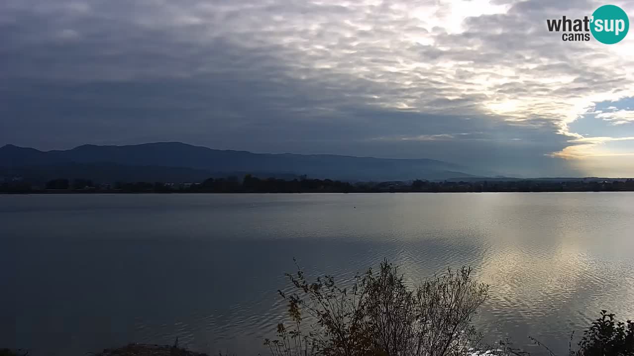 Live Webcam Lago di Brežice sul fiume Sava – Slovenia