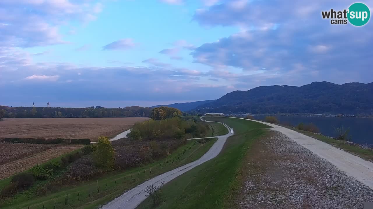 Live Webcam Brežice lake on Sava river – Slovenia