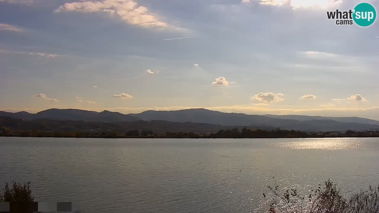Live Webcam Brežice lake on Sava river – Slovenia