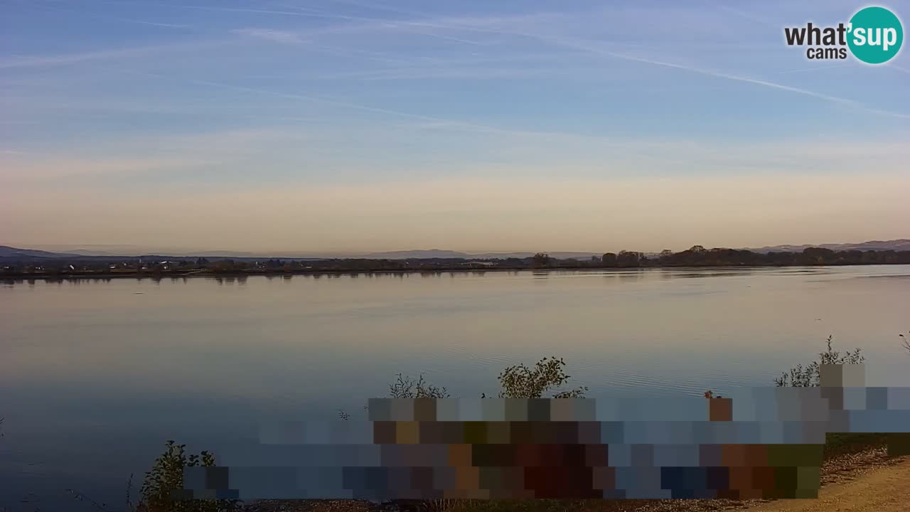Web kamera uživo Jezero Brežice na rijeci Savi – Slovenija