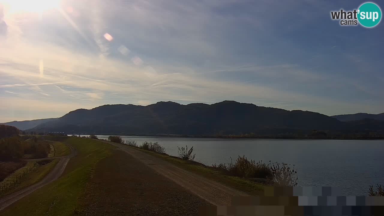 Webcam en vivo lago Brežice en el río Sava – Eslovenia