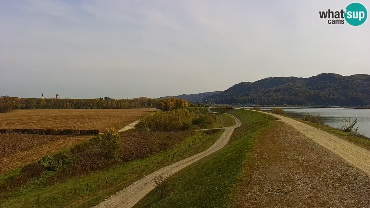 Webcam en vivo lago Brežice en el río Sava – Eslovenia