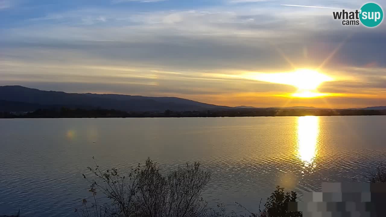 Spletna kamera v živo Brežiško jezero na reki Savi – Slovenija