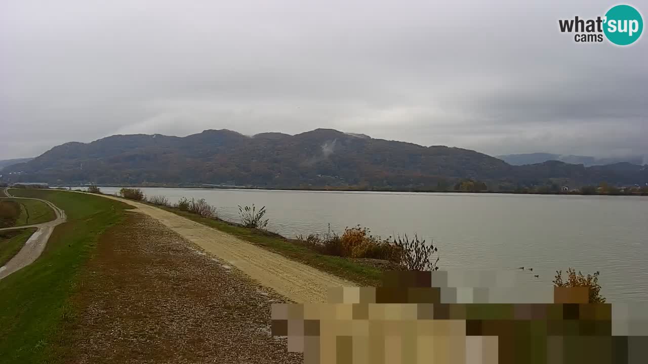 Spletna kamera v živo Brežiško jezero na reki Savi – Slovenija